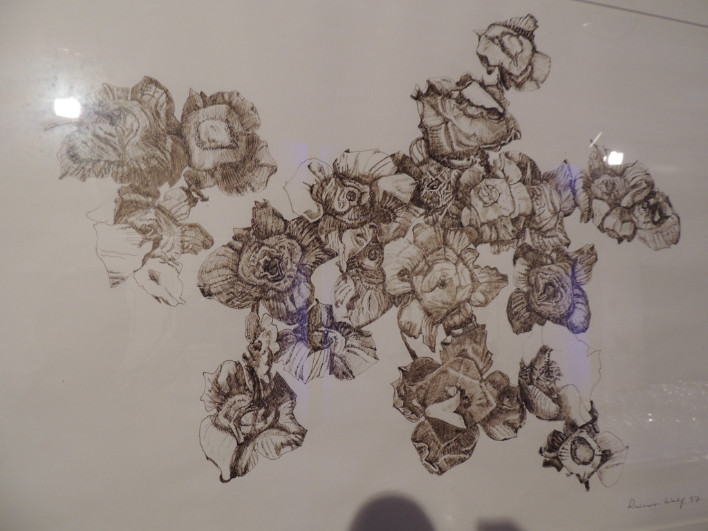 DSCN5648_JPG-1380753400