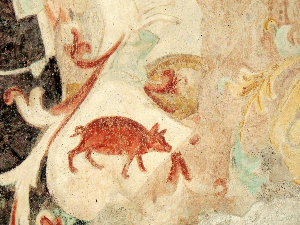 DSCN6422_JPG-1380754563