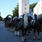 normal_02102013herbstfestde05012aktivnews__005.JPG