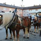 normal_02102013herbstfestde05012aktivnews__009.JPG