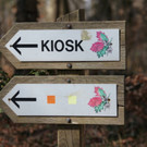 Wildpark im Herbst