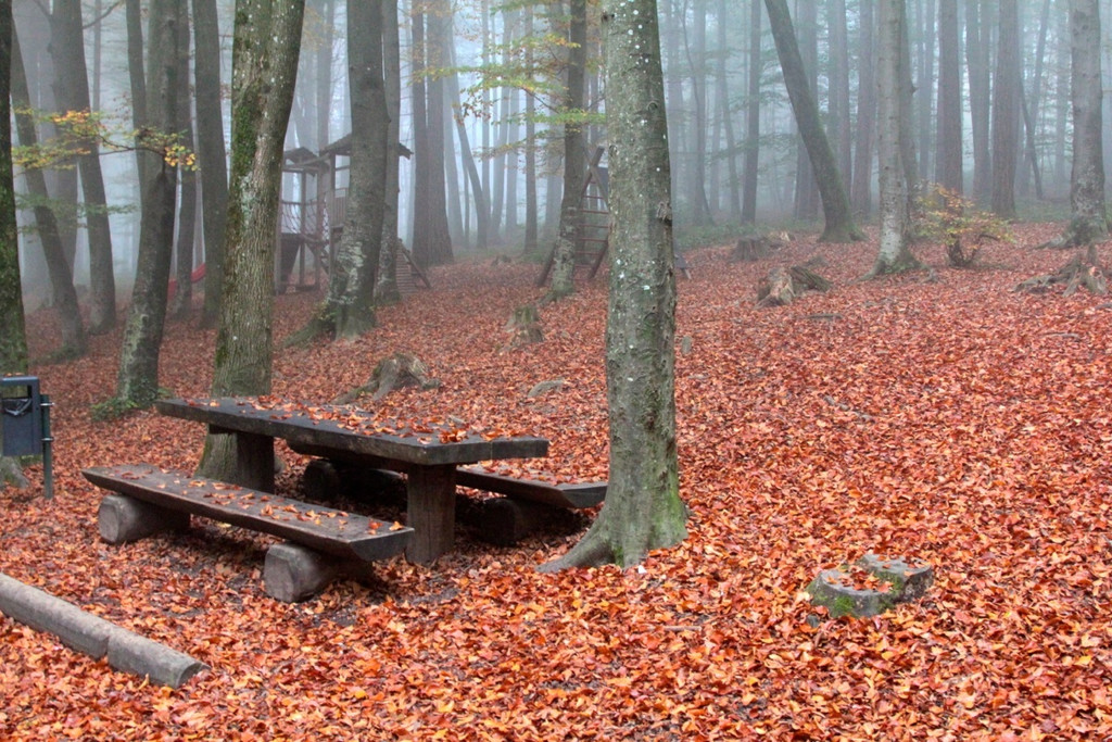 KOE_Wildpark Herbst 7_jpg-1380795236