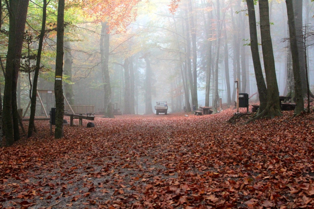 KOE_Wildpark Herbst 8_jpg-1380795244