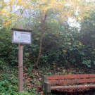 KOE_Wildpark Herbst 11_jpg-1380795262
