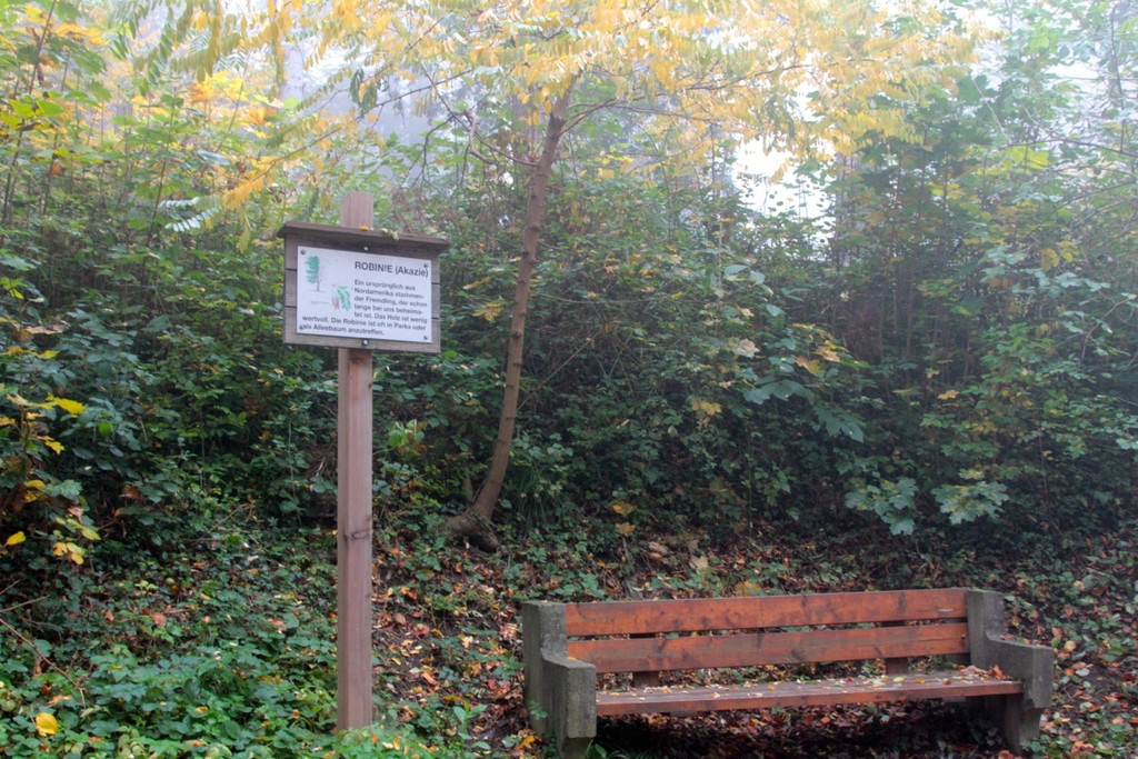 KOE_Wildpark Herbst 11_jpg-1380795262