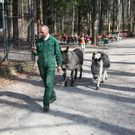 KOE_Wildpark Herbst 14_jpg-1380795286