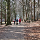 KOE_Wildpark Herbst 16_jpg-1380795306