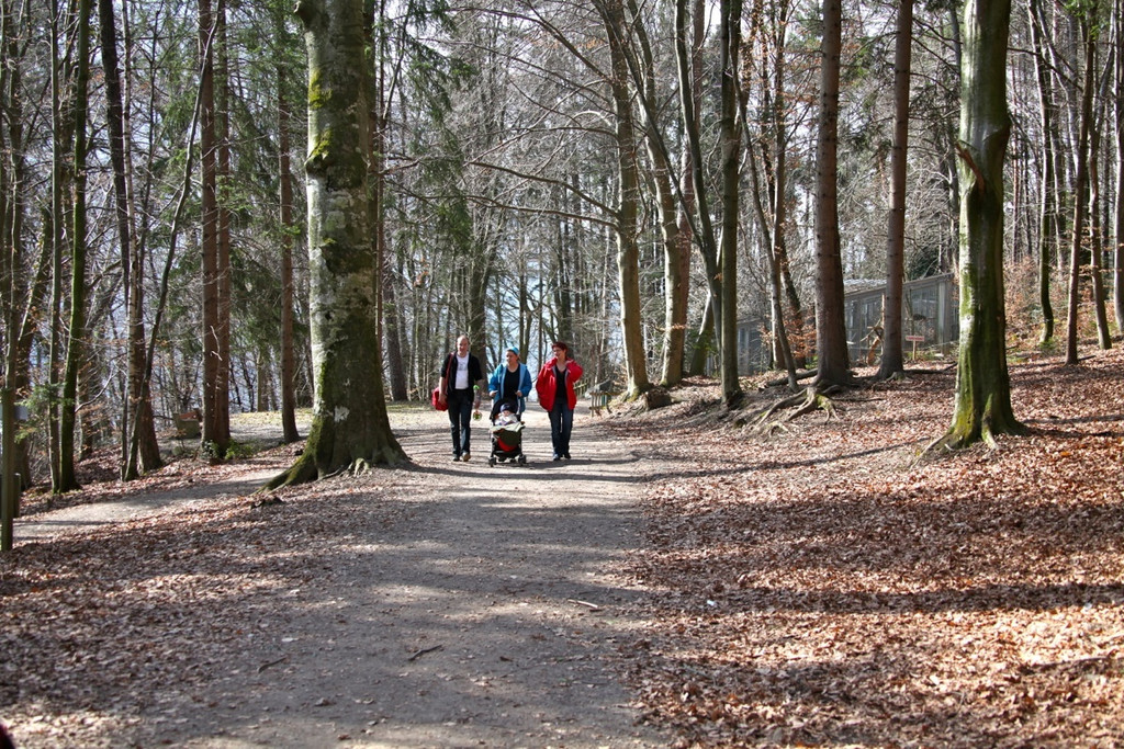 KOE_Wildpark Herbst 16_jpg-1380795306