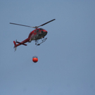 normal_190310waldbrand2gmaktivnews_20_15_.jpg