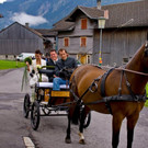 Hochzeit Sandra _ Markus 243_jpg-1380886123