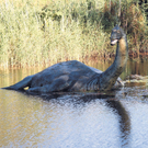 nessie1_rbvn_552315435.jpg