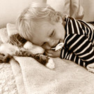 mainecoonkater_alfredjohann.jpg
