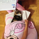 sarahundihrekatze.JPG