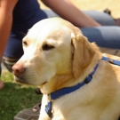 bea_Fr__hlingsspektakel09 089.jpg