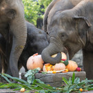 ABD0080-20130926.jpg