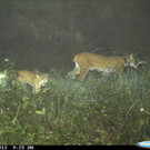 ABD0050-20130927.jpg