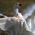 ABD0080-20130927.jpg