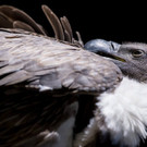 ABD0010-20130930.jpg