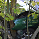DSC_0044.JPG
