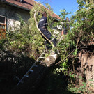Sturmschaden in Sautern