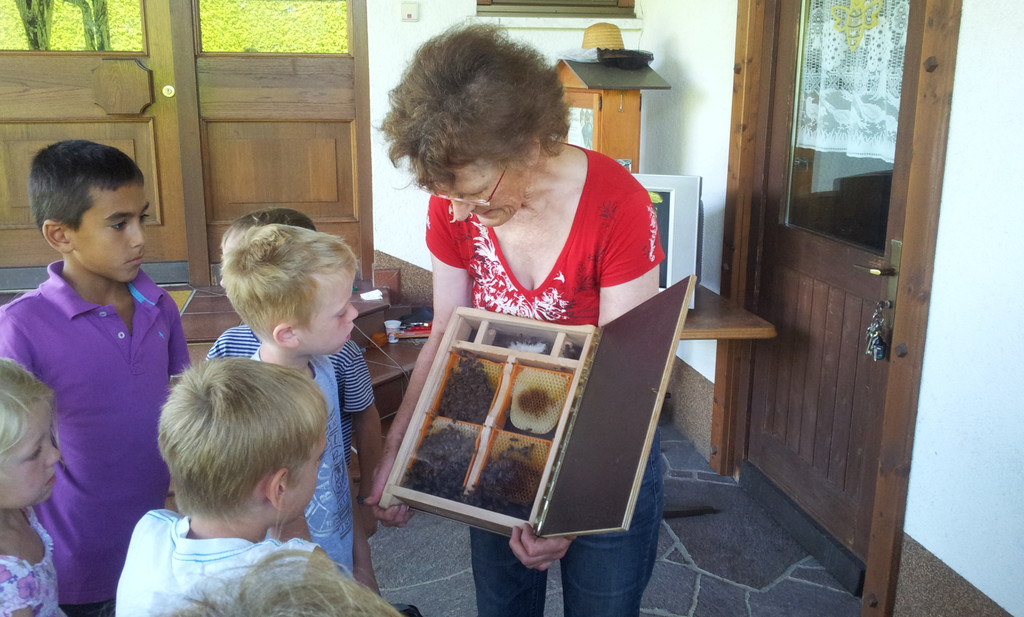 Bienen1_jpg-1380920882