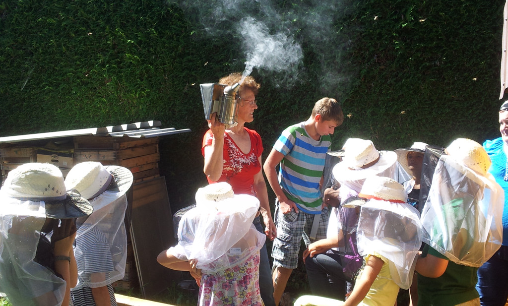 Bienen2_jpg-1380920905