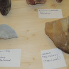 DSCN6560_JPG-1380924798