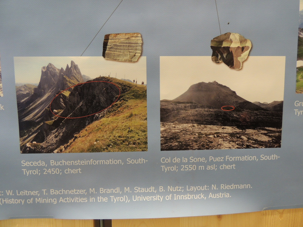 DSCN6525_JPG-1380924777