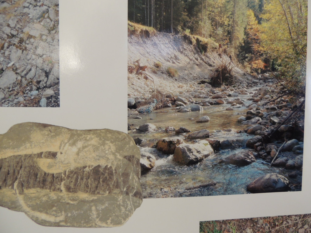 DSCN6530_JPG-1380924781