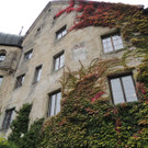 DSCN6712_JPG-1380926605