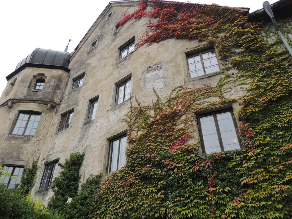 DSCN6712_JPG-1380926605