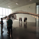 DSCN6371_JPG-1380927144