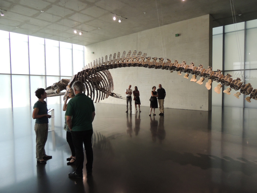 DSCN6371_JPG-1380927144