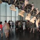 DSCN6410_JPG-1380927178