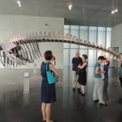 DSCN6373_JPG-1380927148