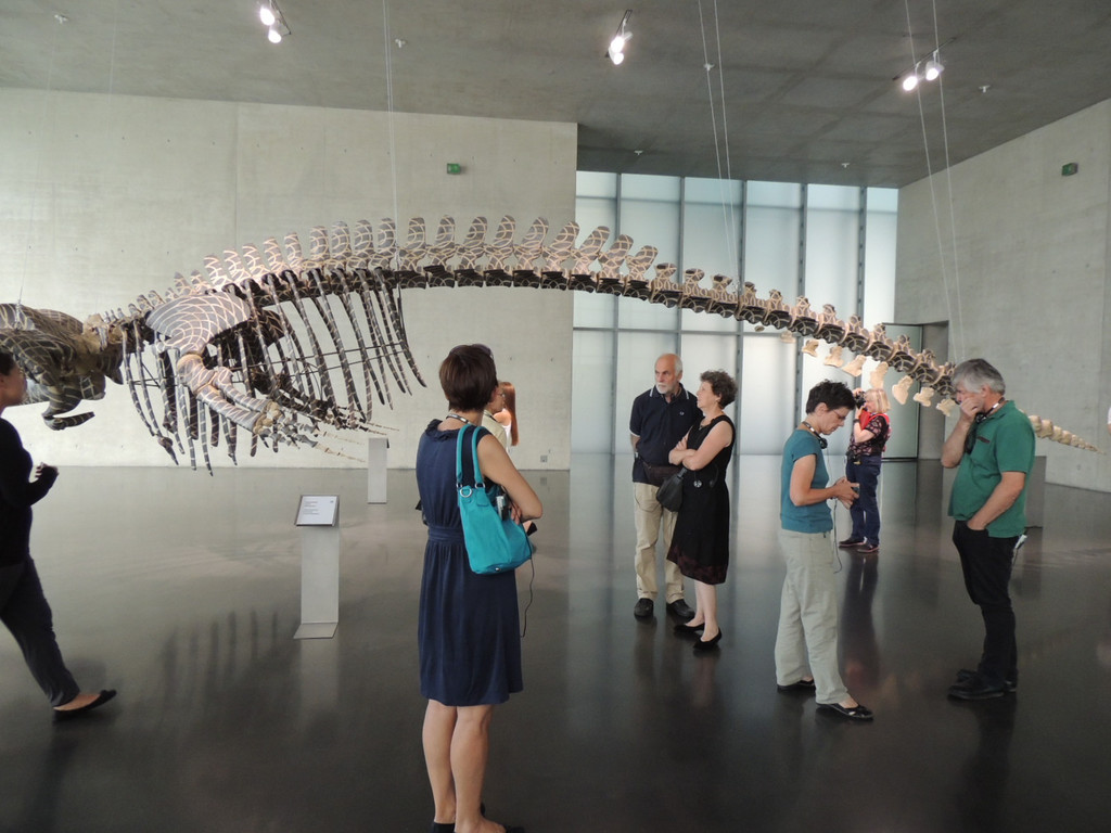 DSCN6373_JPG-1380927148