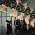 DSCN6409_JPG-1380927174