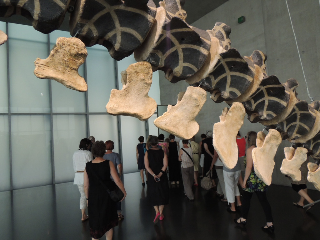 DSCN6409_JPG-1380927174