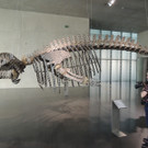 DSCN6374_JPG-1380927152