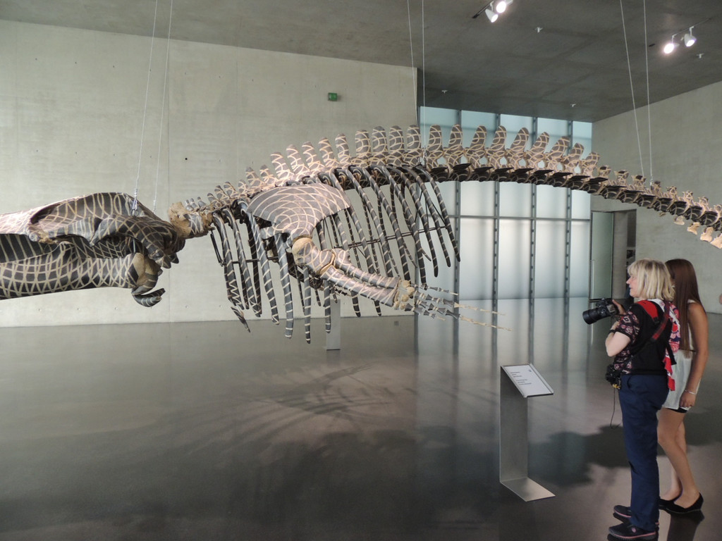 DSCN6374_JPG-1380927152