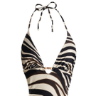 Sexy Zebra.jpg