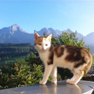 Bild136.jpg