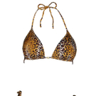 Wild Tiger.jpg
