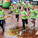 file6c4otjvrad319qel9bfe_jpg-1380993833