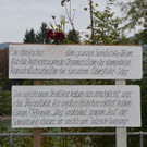 05102013stegat005_009aktivnews00533.jpg