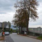 05102013stegat005_009aktivnews00509.jpg
