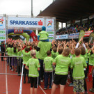 IMG_2507_JPG-1381056693