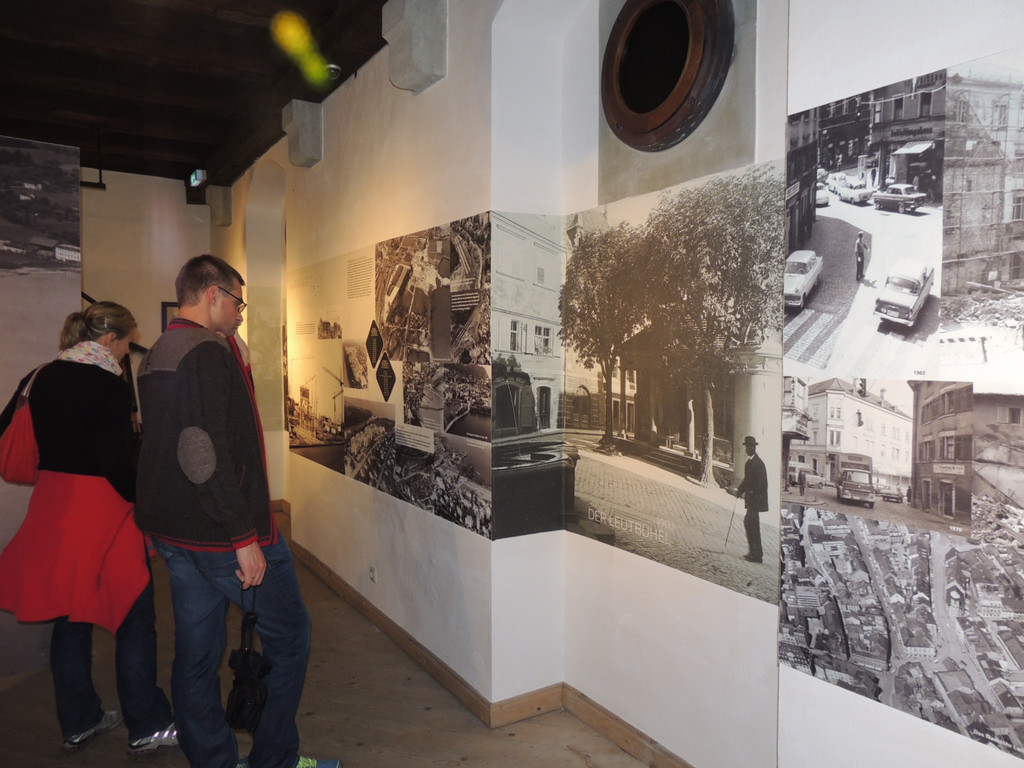 DSCN8070_JPG-1381060966