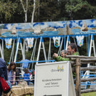 10_91f05d24ae4cd8e18b220063299eb3ed_640.jpg