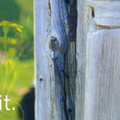 image001_jpg-1381071342